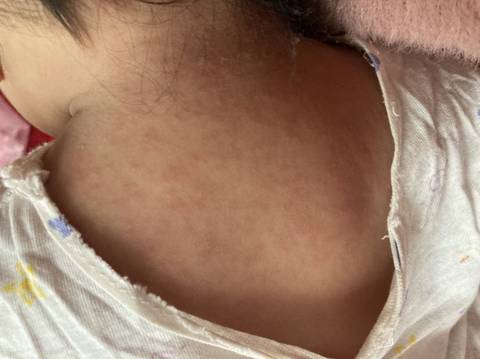 journal_insert_pic_1673521885