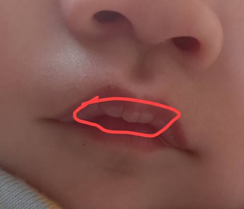 journal_insert_pic_1688720060