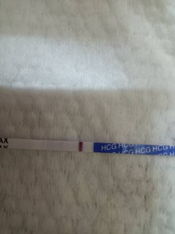 journal_insert_pic_1684398891