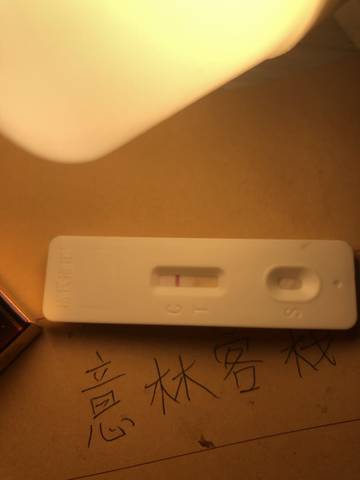 journal_insert_pic_1679467581