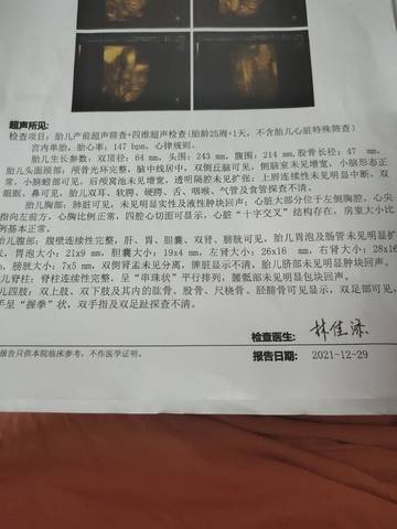 journal_insert_pic_1688546196