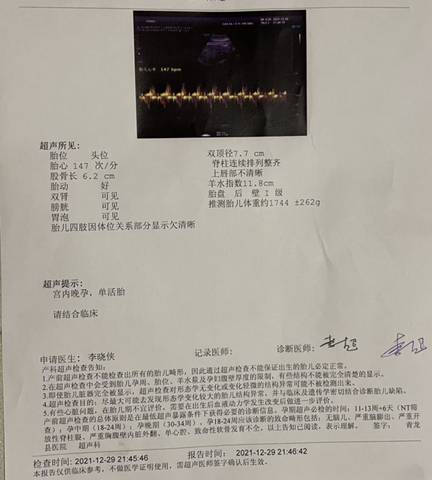 journal_insert_pic_1688732243