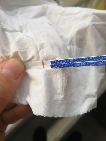 journal_insert_pic_1676528442