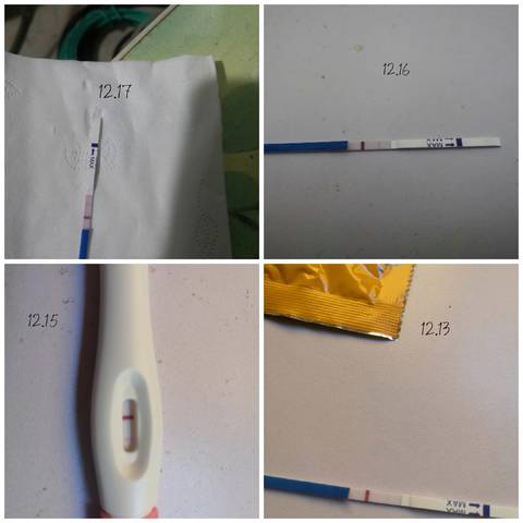 journal_insert_pic_1681899300