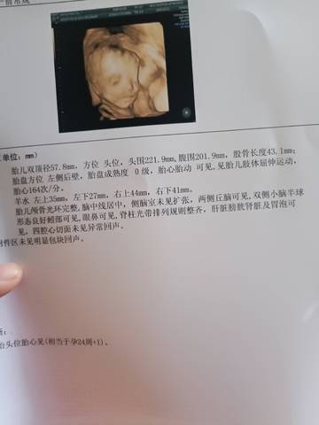 journal_insert_pic_1684040989