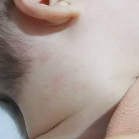 journal_insert_pic_1686737183