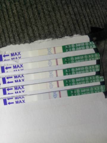 journal_insert_pic_1684563625