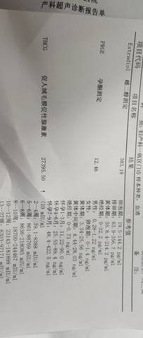 journal_insert_pic_1685871893