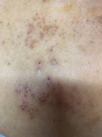 journal_insert_pic_1678228579