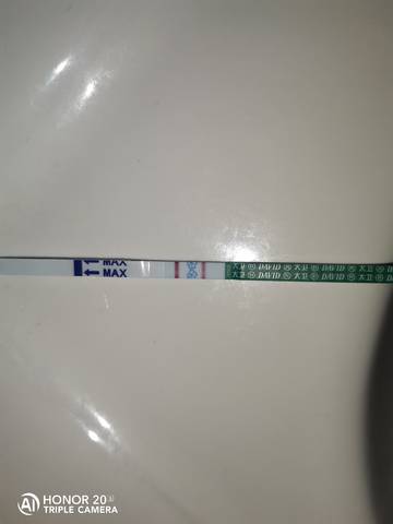 journal_insert_pic_1677182284