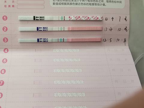 journal_insert_pic_1674025683