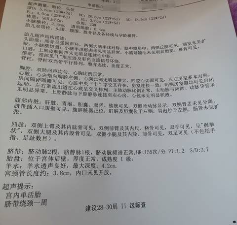 journal_insert_pic_1678514608