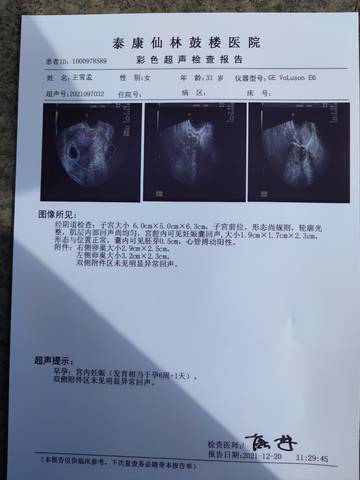 journal_insert_pic_1683189170