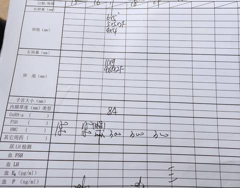 journal_insert_pic_1682074928