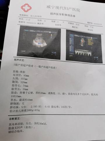 journal_insert_pic_1684500525
