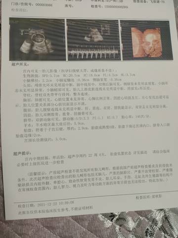 journal_insert_pic_1684796453
