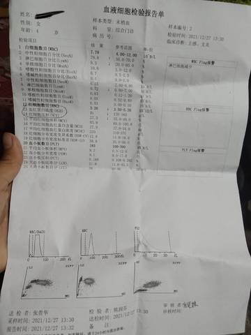 journal_insert_pic_1689637536