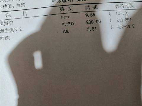 journal_insert_pic_1676292877