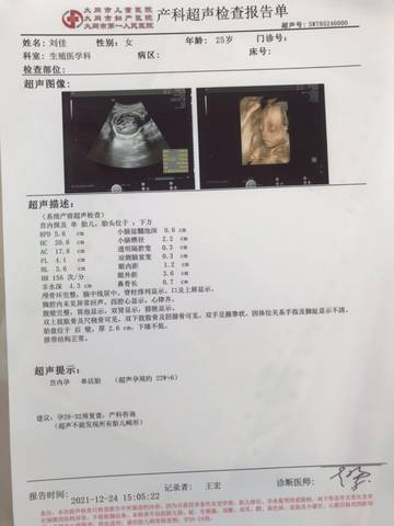 journal_insert_pic_1686403346