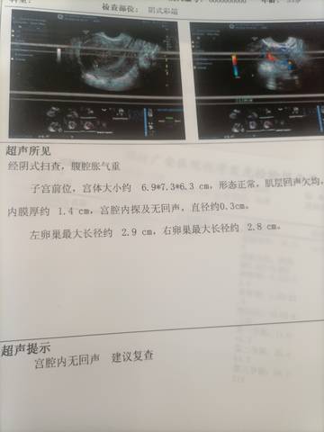 journal_insert_pic_1686993933
