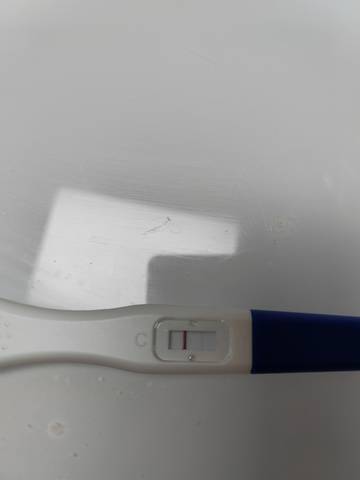 journal_insert_pic_1682544281