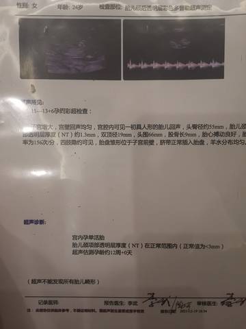 journal_insert_pic_1682703324