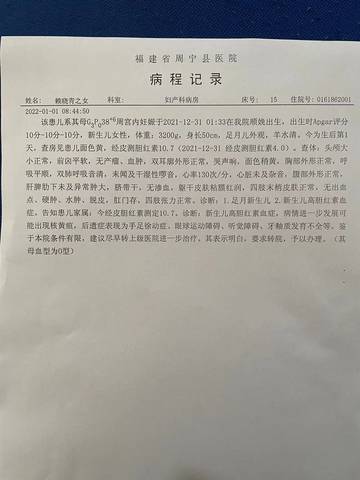 journal_insert_pic_1690023297