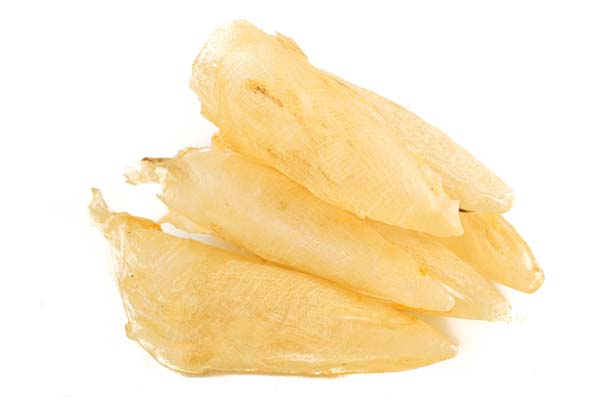 600鱼胶（企业商用）2.jpg