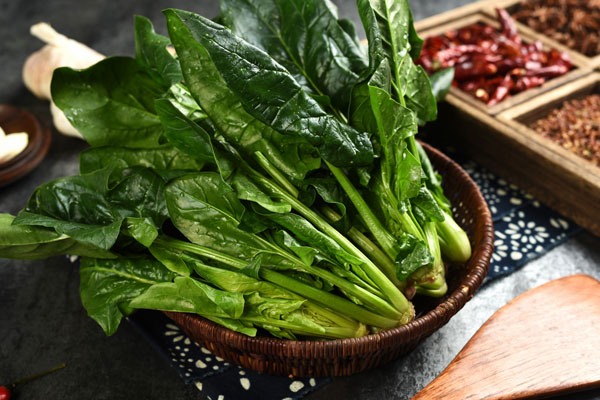 600_菠菜（企业商用）.jpg