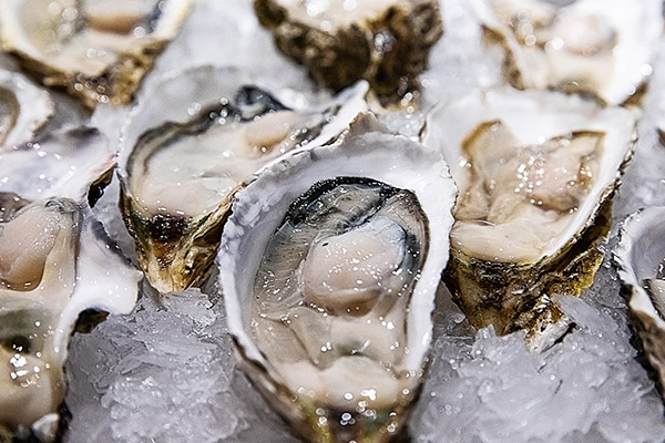 生牡蛎3.jpg 生牡蛎3.jpg