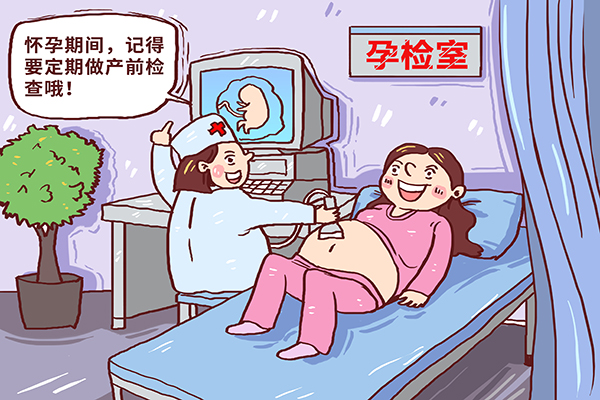 四维彩超1.jpg