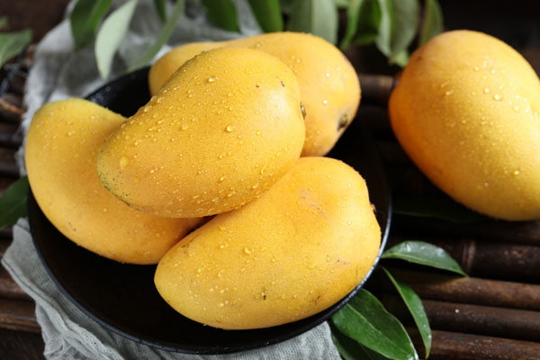 摄图网_501202906_banner_大芒果(企业商用).jpg 摄图网_501202906_banner_大芒果(企业商用).jpg