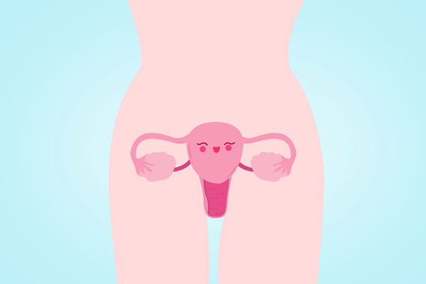 600保护女性子宫（企业商用）.jpg