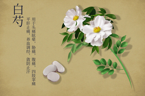 白芍的2.jpg