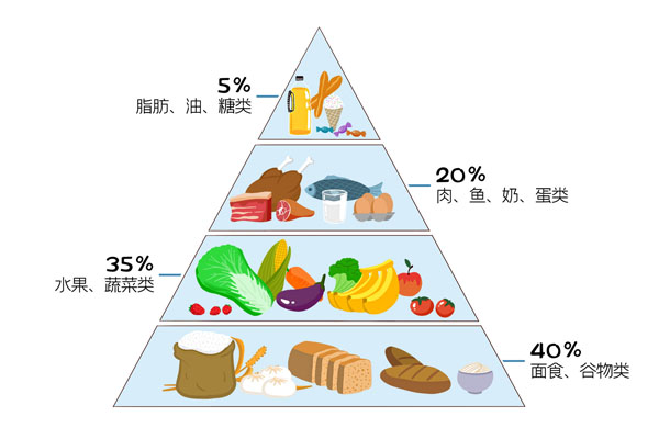 摄图网_401861264_banner_健康饮食金字塔（企业商用）.jpg