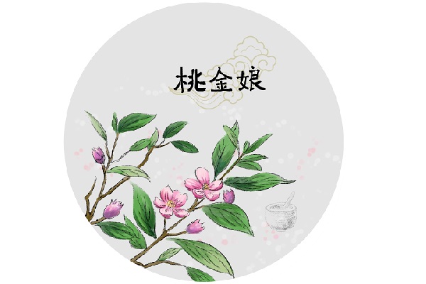 桃金娘3.jpg