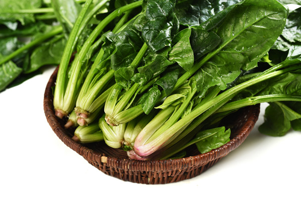 菠菜2.jpg