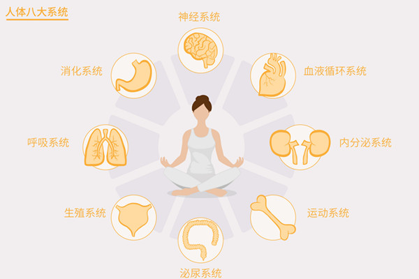 内分泌600.jpg